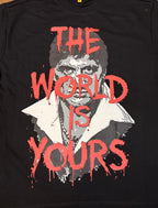 The World Is Yours